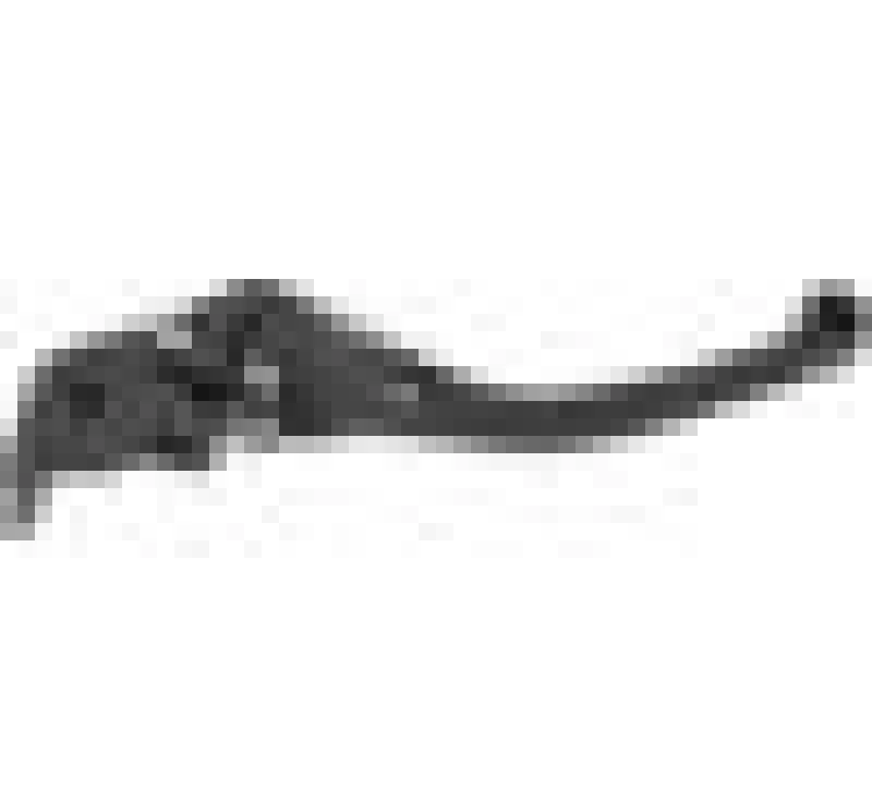 Vortex Racing H-L202 F25 Brake Lever Long- Black - product image