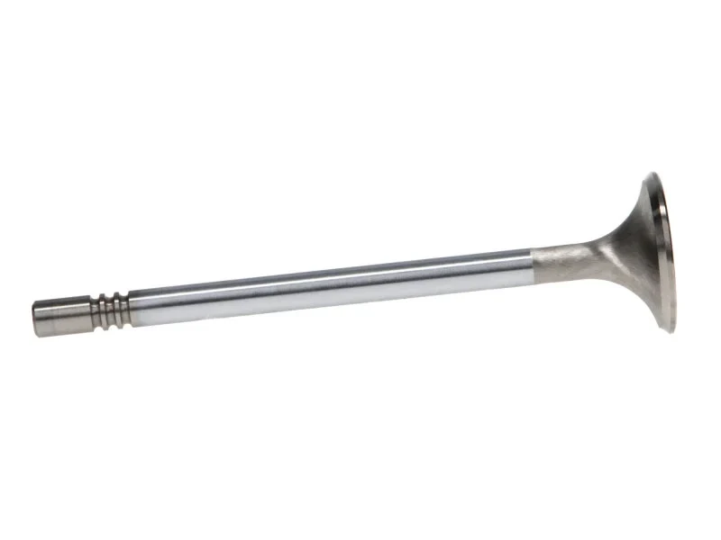 Manley 99-12 Ford 4.6L/281 5.4L/330 V8 37mm Race Series Stainless Steel Intake Valve - Single - product image