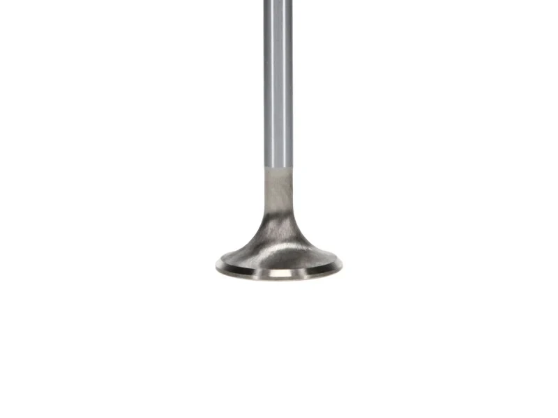 Manley 99-12 Ford 4.6L/281 5.4L/330 V8 37mm Race Series Stainless Steel Intake Valve - Single - product image