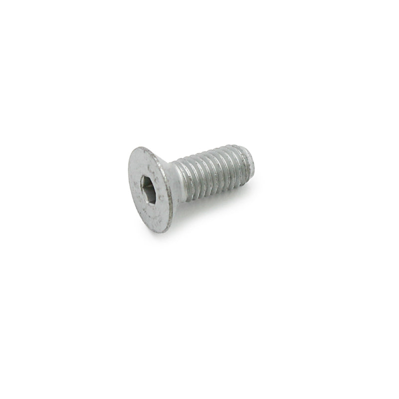 Wilwood bolt M10-1.50X25MM LG fhcs 12.9 hexdrive WES072 CL1 silver iso 10642/DIN 7991 - product image