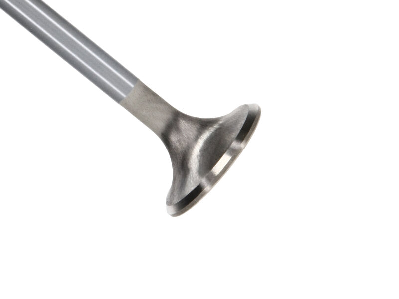 Manley 99-12 Ford 4.6L/281 5.4L/330 V8 37mm Race Series Stainless Steel Intake Valve - Single - product image