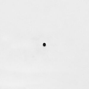 Wilwood bolt 10-32X.19 LG (3/16) set screw cup point black