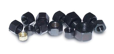 ARP 5/16-18 SS Hex Nut Kit - product image